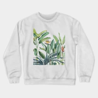 Green Tropical Jungle Banana Tree Strelitzia Crewneck Sweatshirt